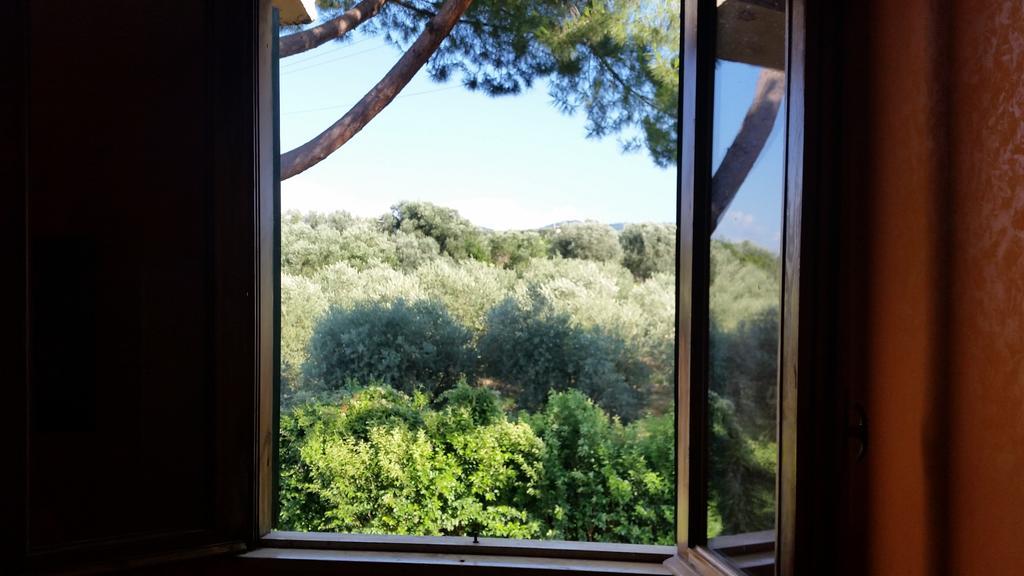 Hotel Villa Maria Luigia Frascati Habitación foto
